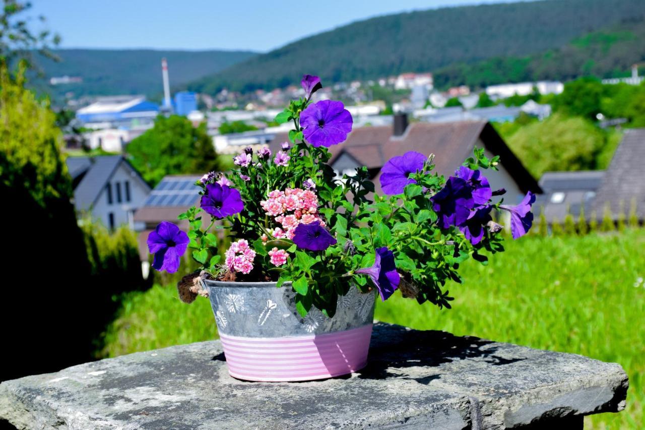 Hotel Bergwiesen - Zimmer Mit Balkon Oder Terasse Lohr nad Menem Zewnętrze zdjęcie